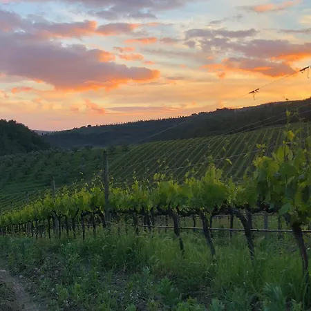 Crognole 6, Emma Villa Radda in Chianti